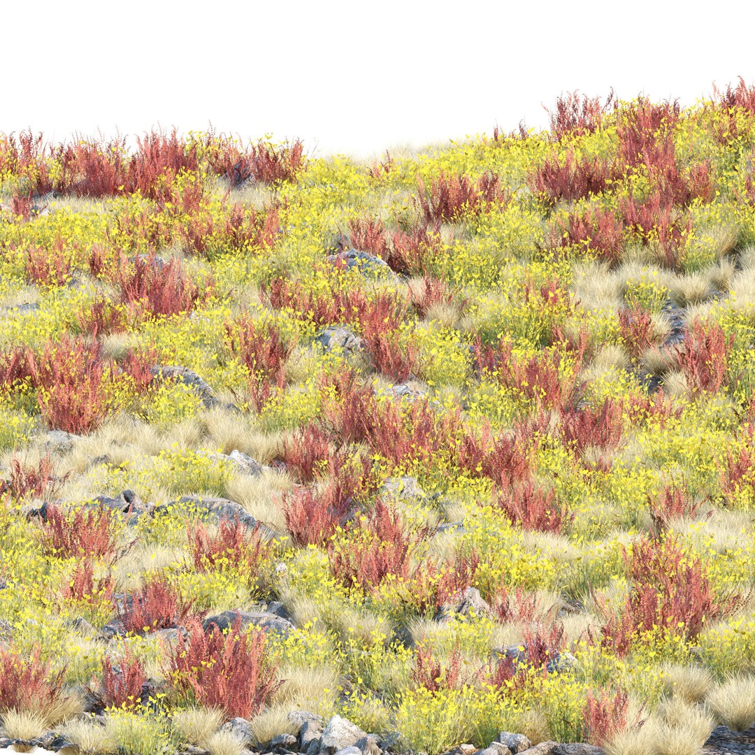 Wild Grass 3D Model – Low Poly Game Asset, PBR Textures, FBX - View 4