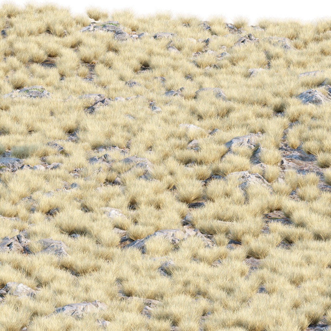 Wild Grass 3D Model – Low Poly Game Asset, PBR Textures, FBX - View 5