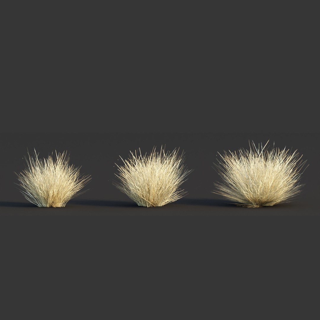 Wild Grass 3D Model – Low Poly Game Asset, PBR Textures, FBX - View 7