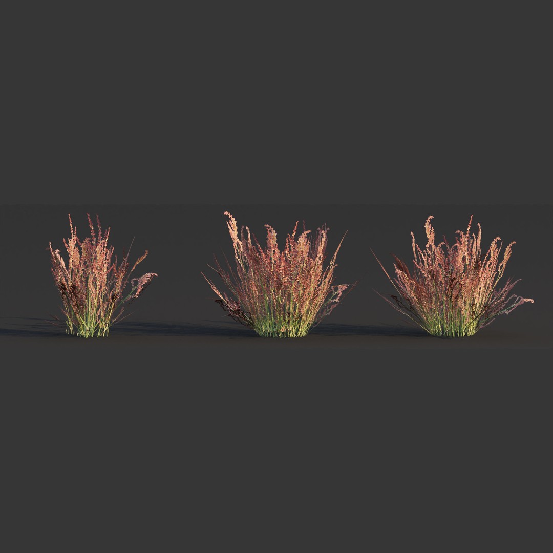 Wild Grass 3D Model – Low Poly Game Asset, PBR Textures, FBX - View 8