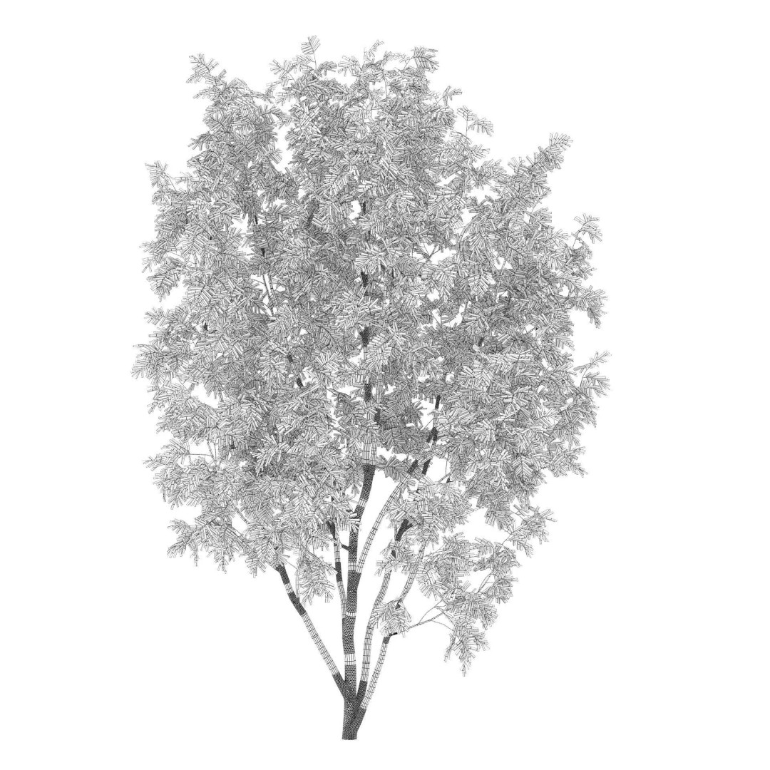 Rowan Tree 3D Model – Autumn Foliage, FBX, Game-Ready - View 4