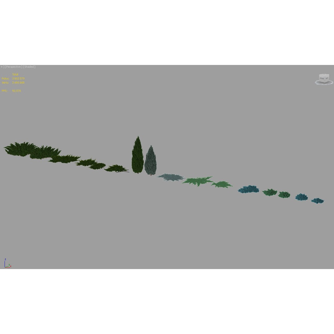 Juniperus Pack 01 3D Model – Realistic Coniferous Plants, FBX, PBR
