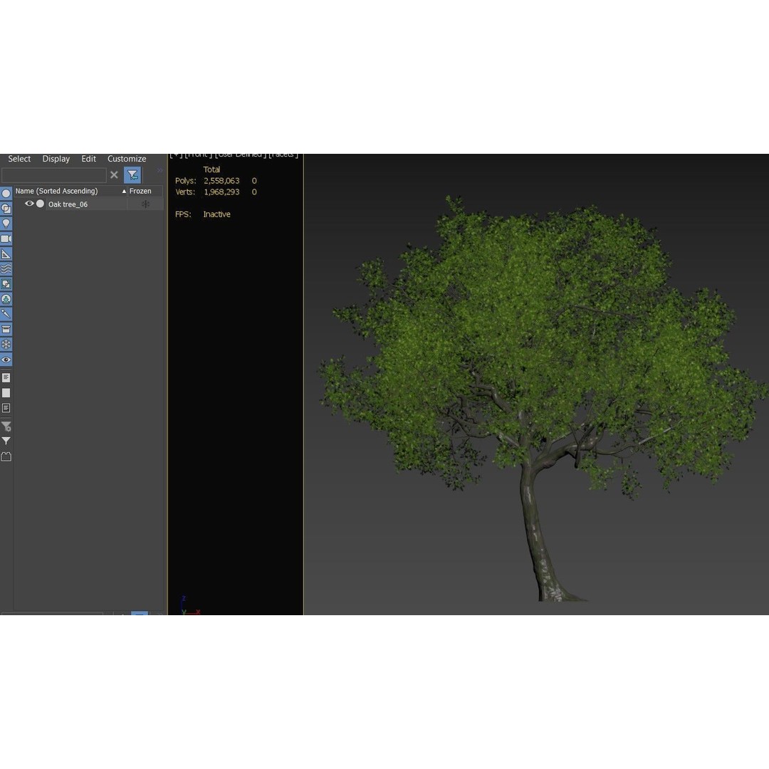 Oak Tree 3D Model – High Poly Deciduous Plant, FBX, PBR Textures