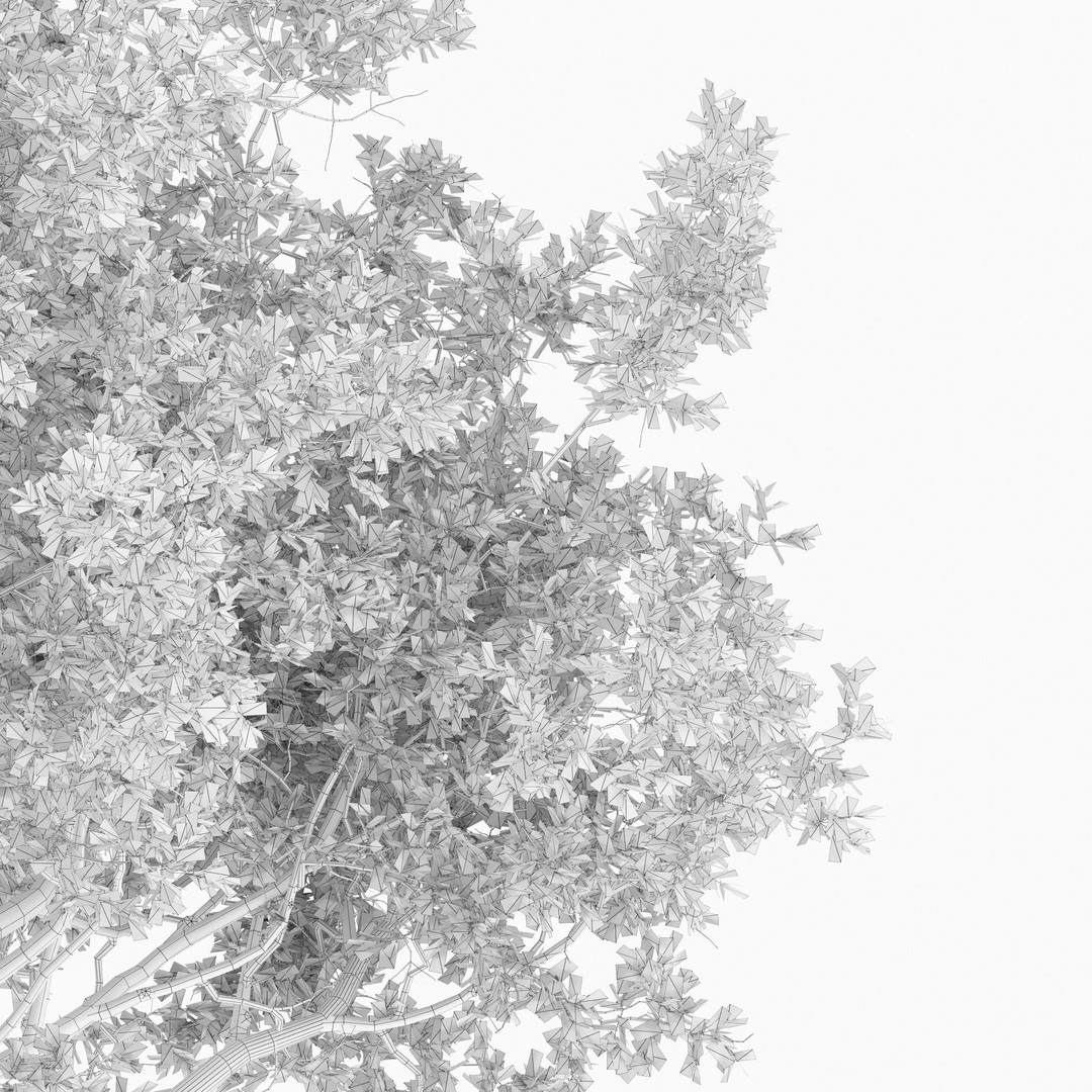 Oak Tree 3D Model – High Poly Deciduous Plant, FBX, PBR Textures - View 6