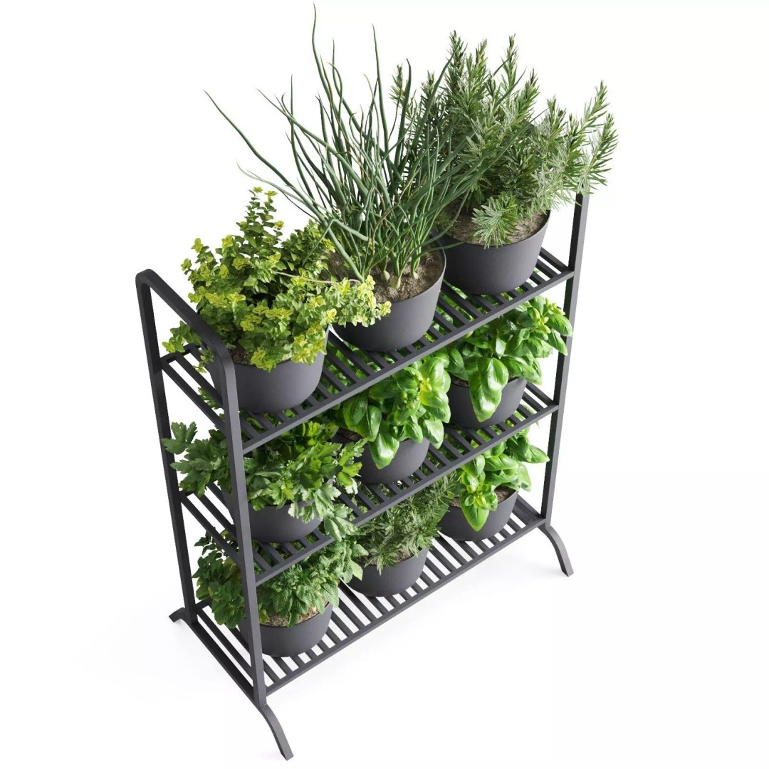 Herb Shelf 3D Model – Minimalist Vertical Design with Black Pots