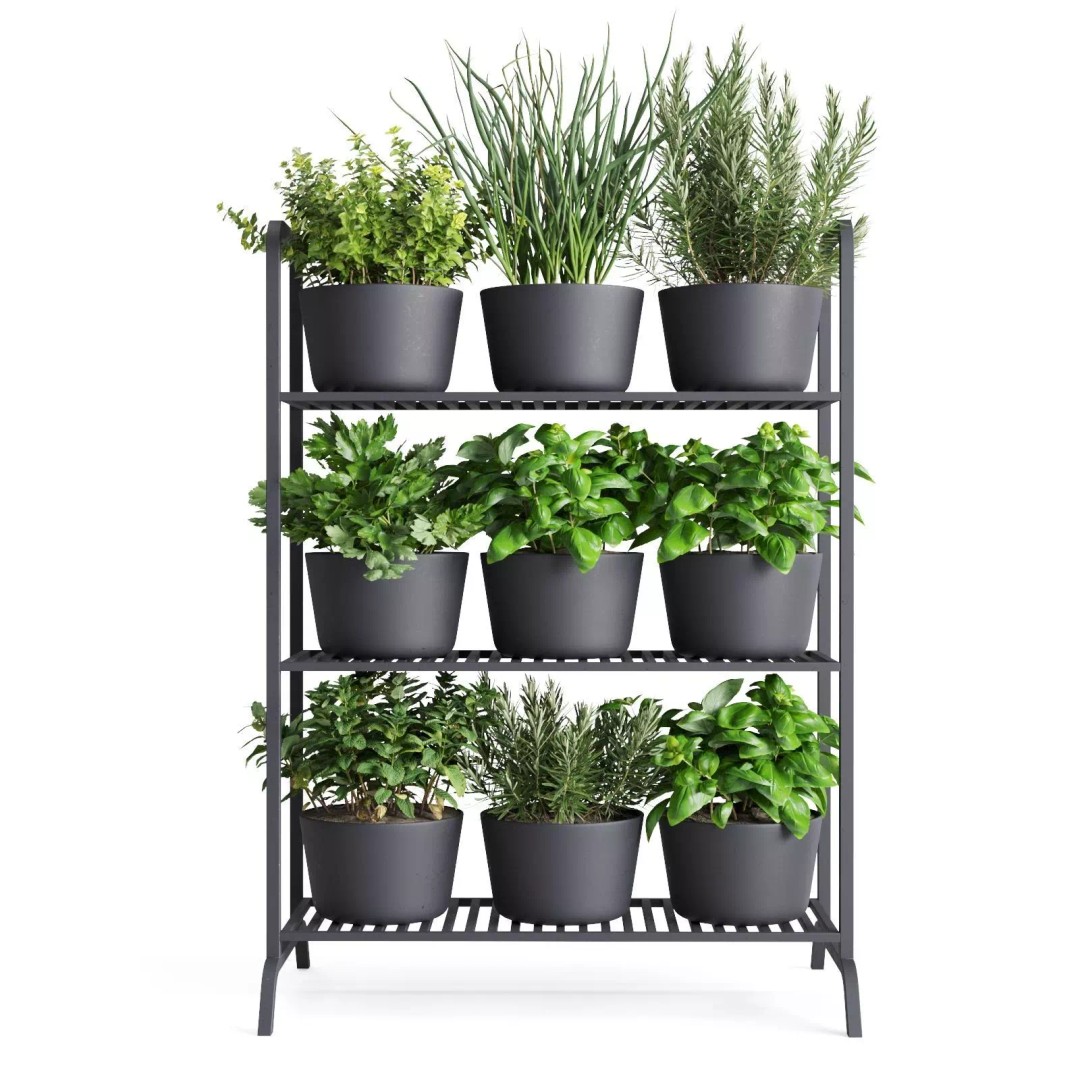 Herb Shelf 3D Model – Minimalist Vertical Design with Black Pots - View 4