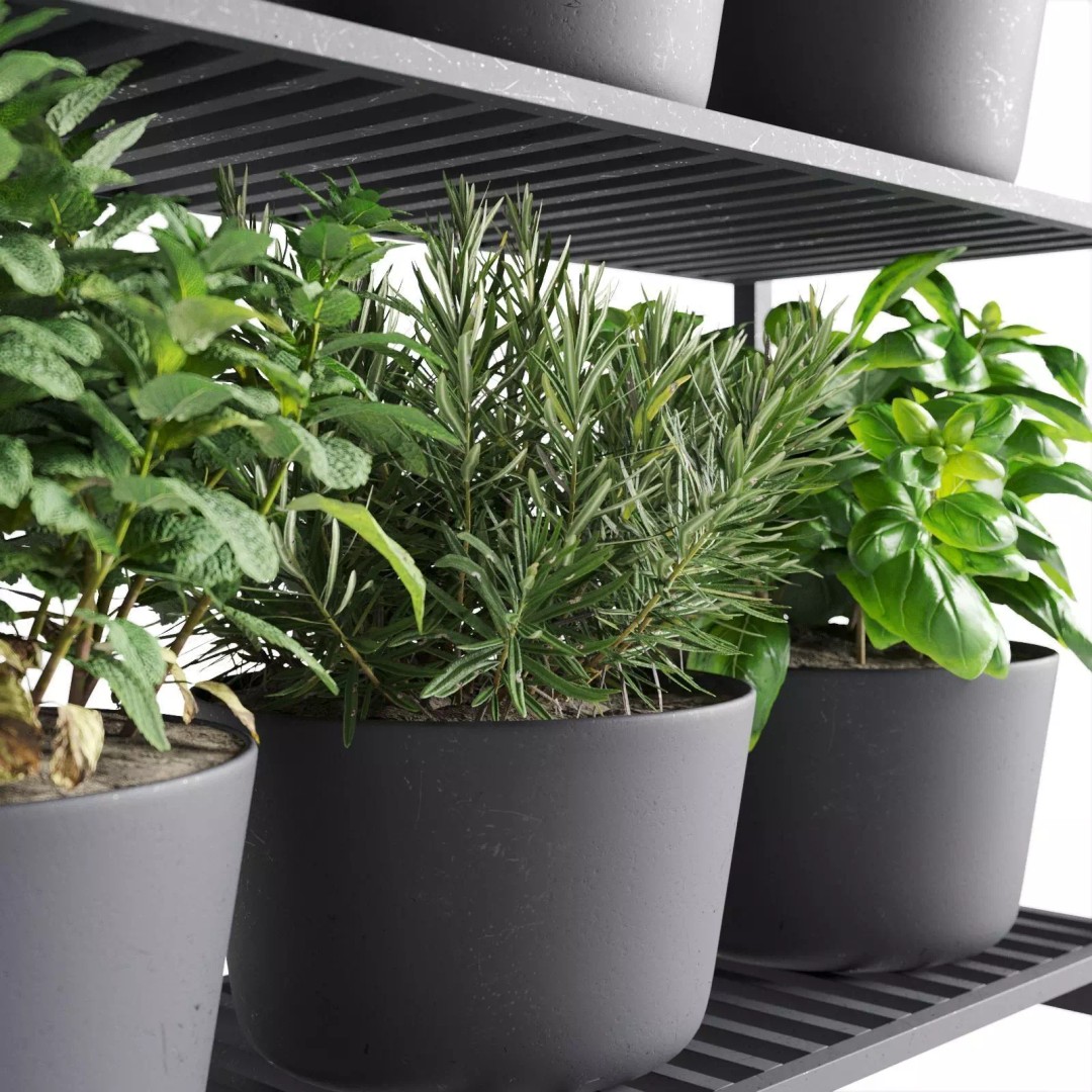 Herb Shelf 3D Model – Minimalist Vertical Design with Black Pots - View 5