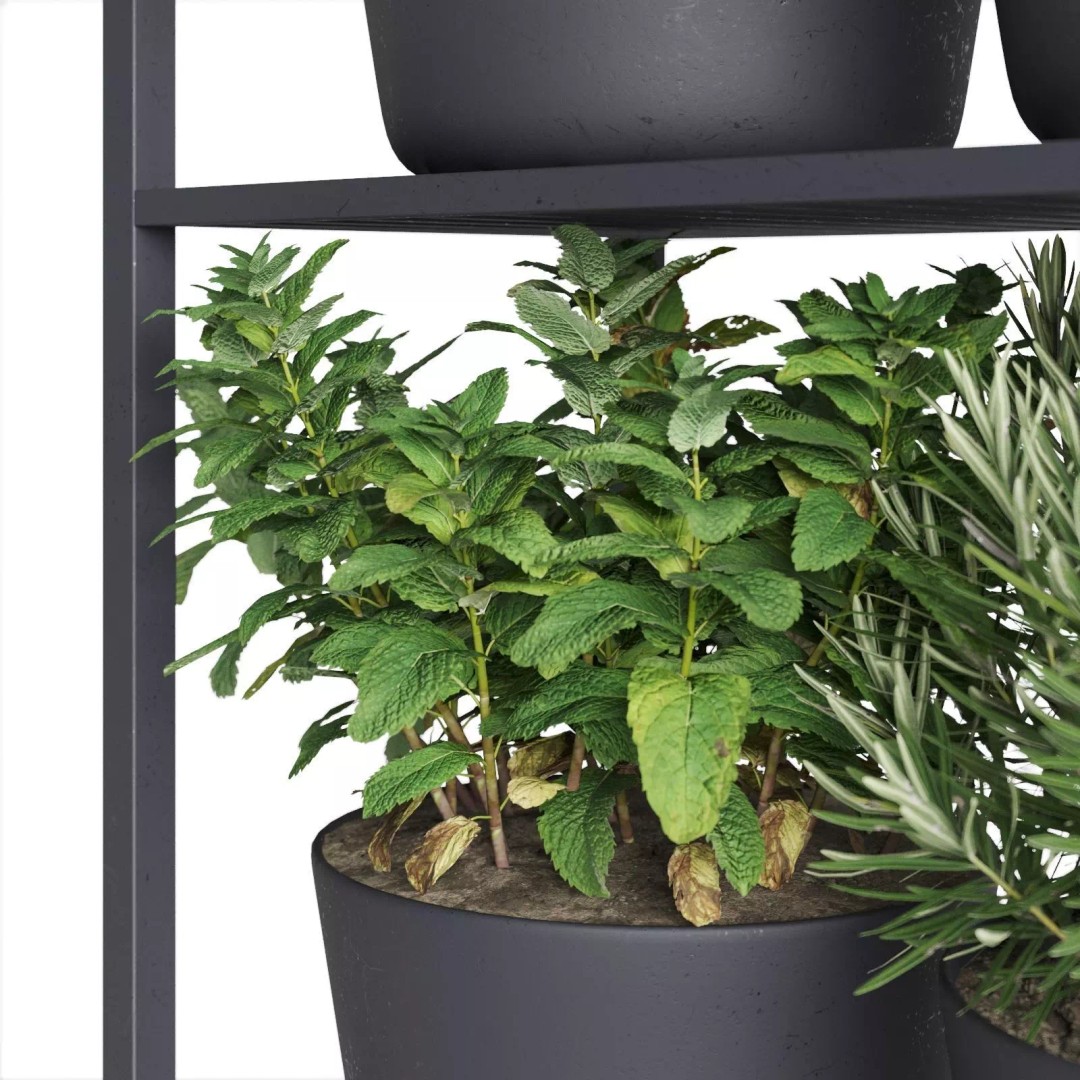 Herb Shelf 3D Model – Minimalist Vertical Design with Black Pots - View 7