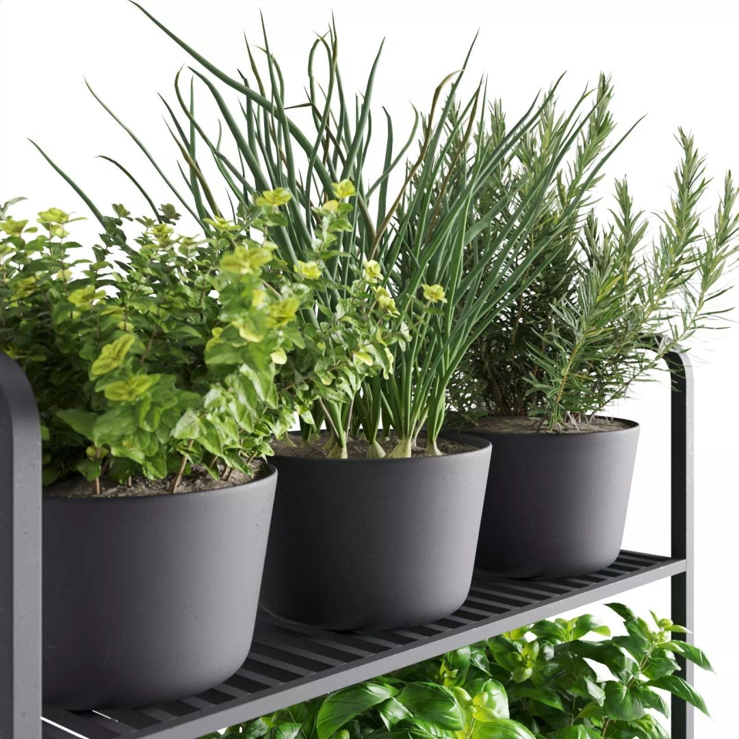 Herb Shelf 3D Model – Minimalist Vertical Design with Black Pots - View 9