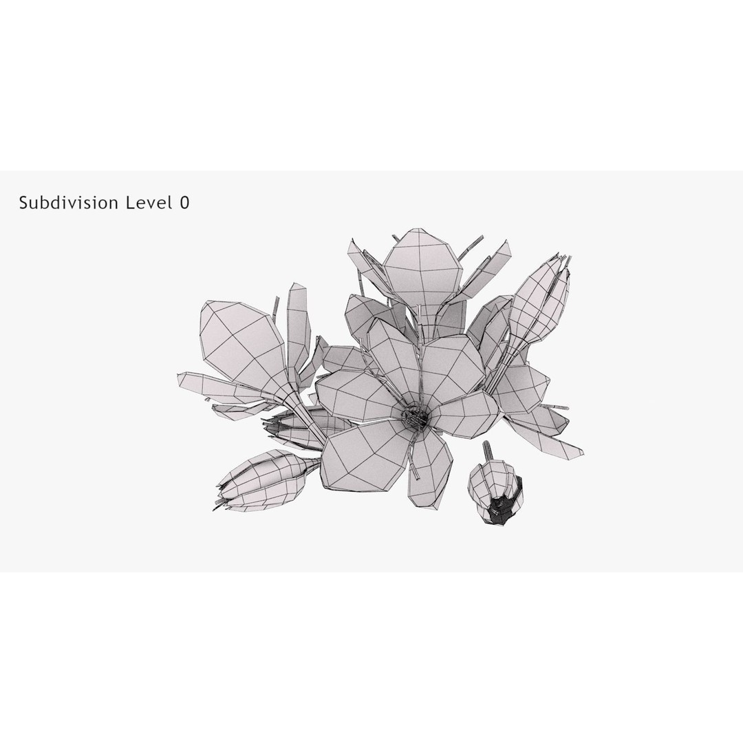 Crocus Blossom 3D Model – Low Poly Plant Asset, PBR Textures - View 10