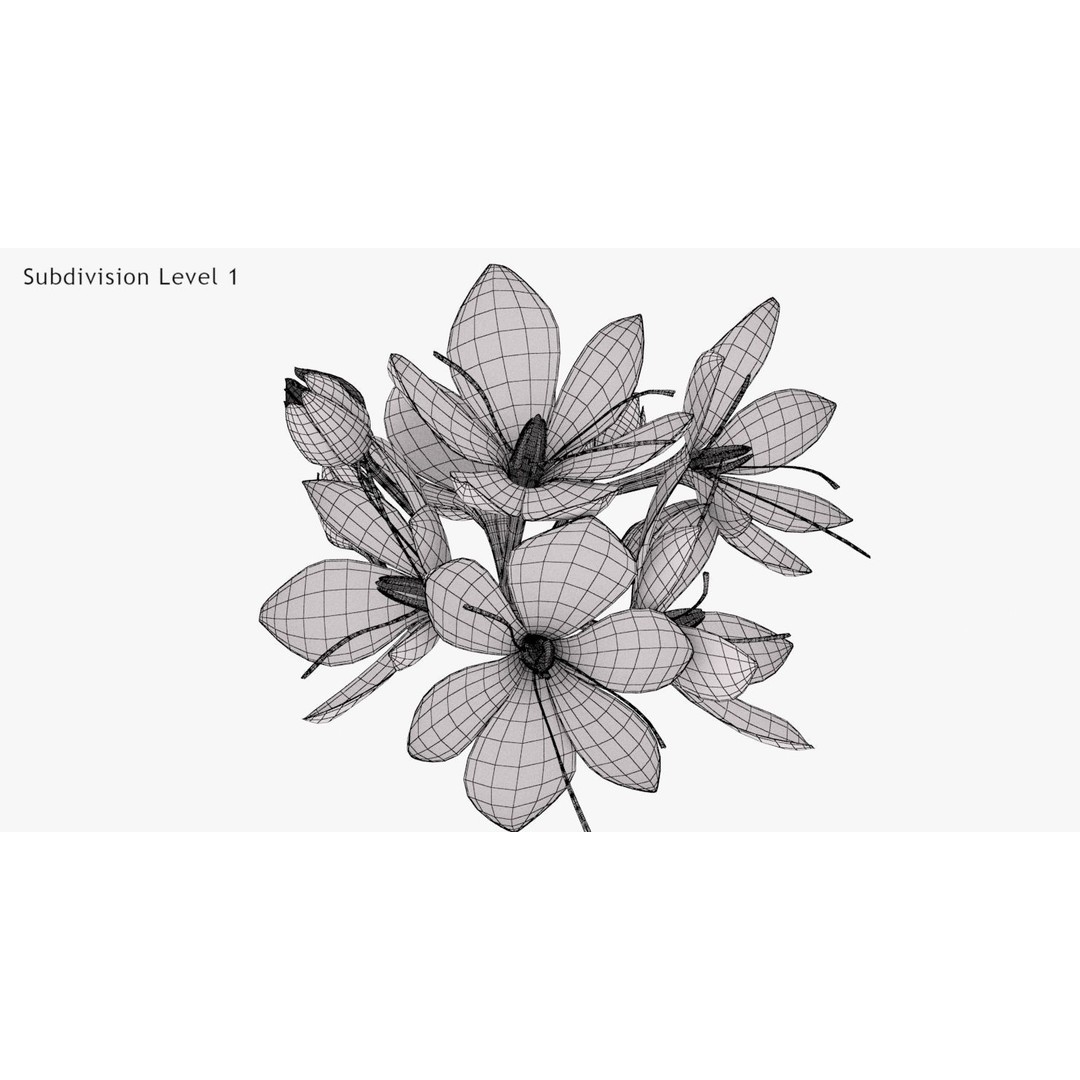 Crocus Blossom 3D Model – Low Poly Plant Asset, PBR Textures - View 11