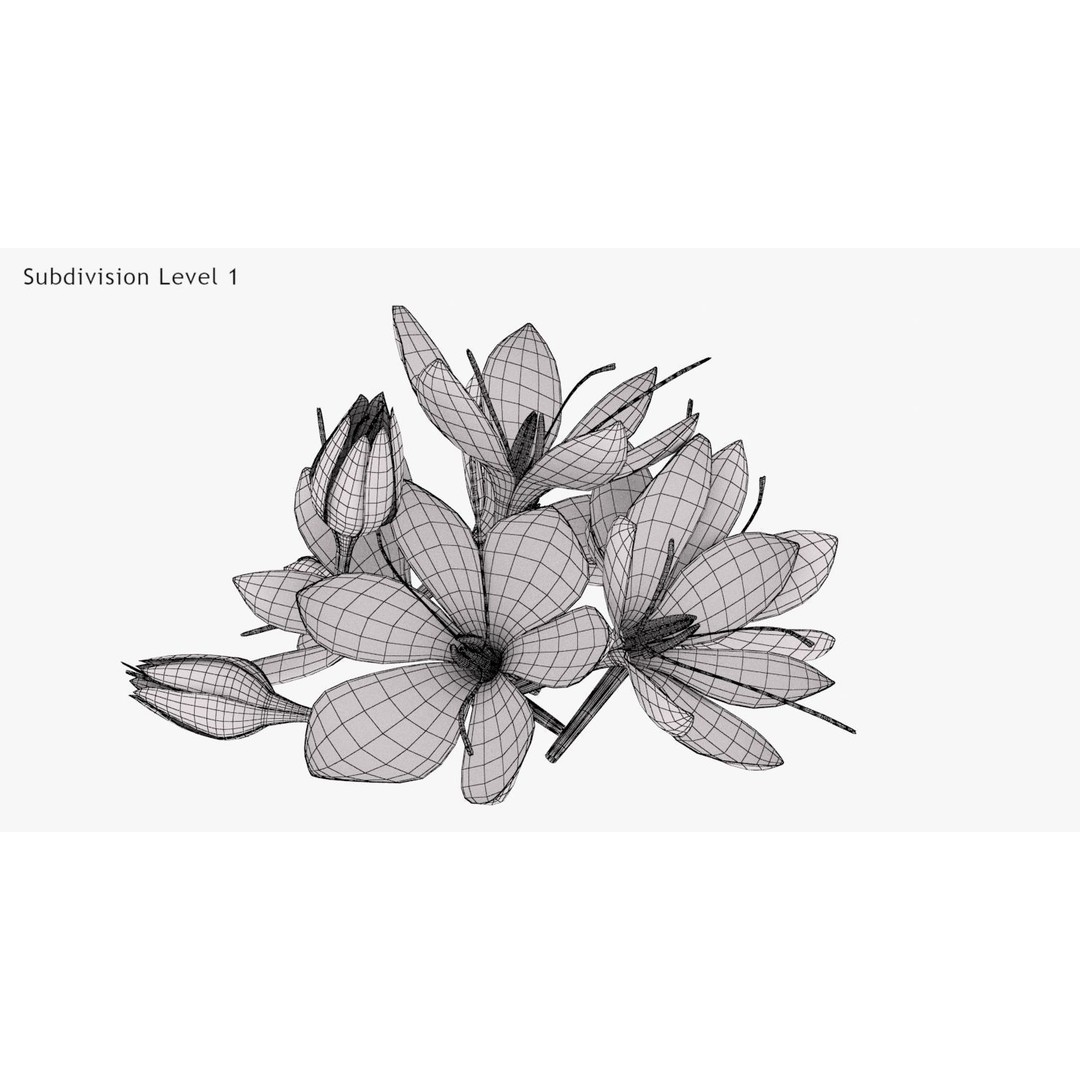 Crocus Blossom 3D Model – Low Poly Plant Asset, PBR Textures - View 12