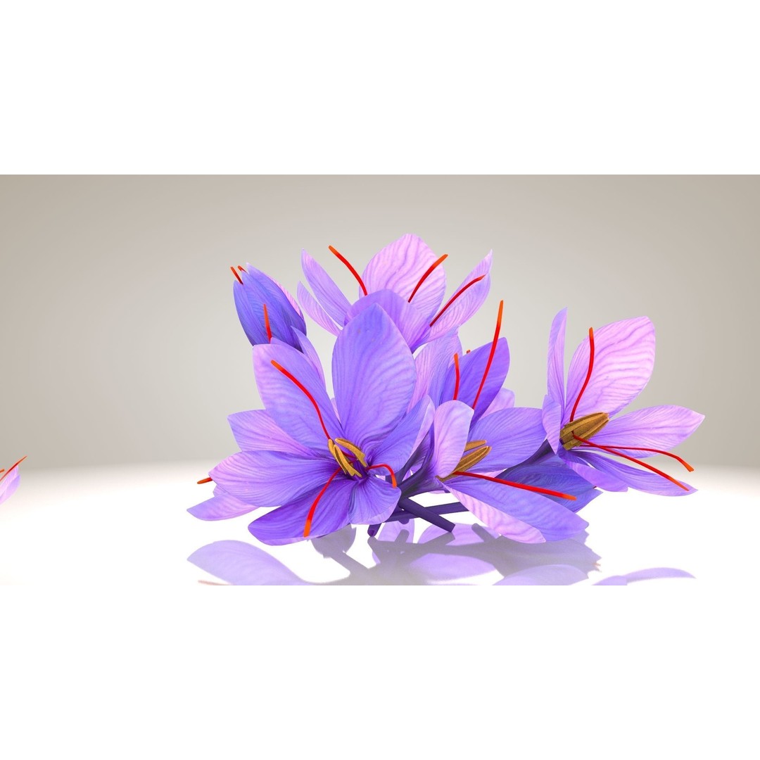 Crocus Blossom 3D Model – Low Poly Plant Asset, PBR Textures - View 17