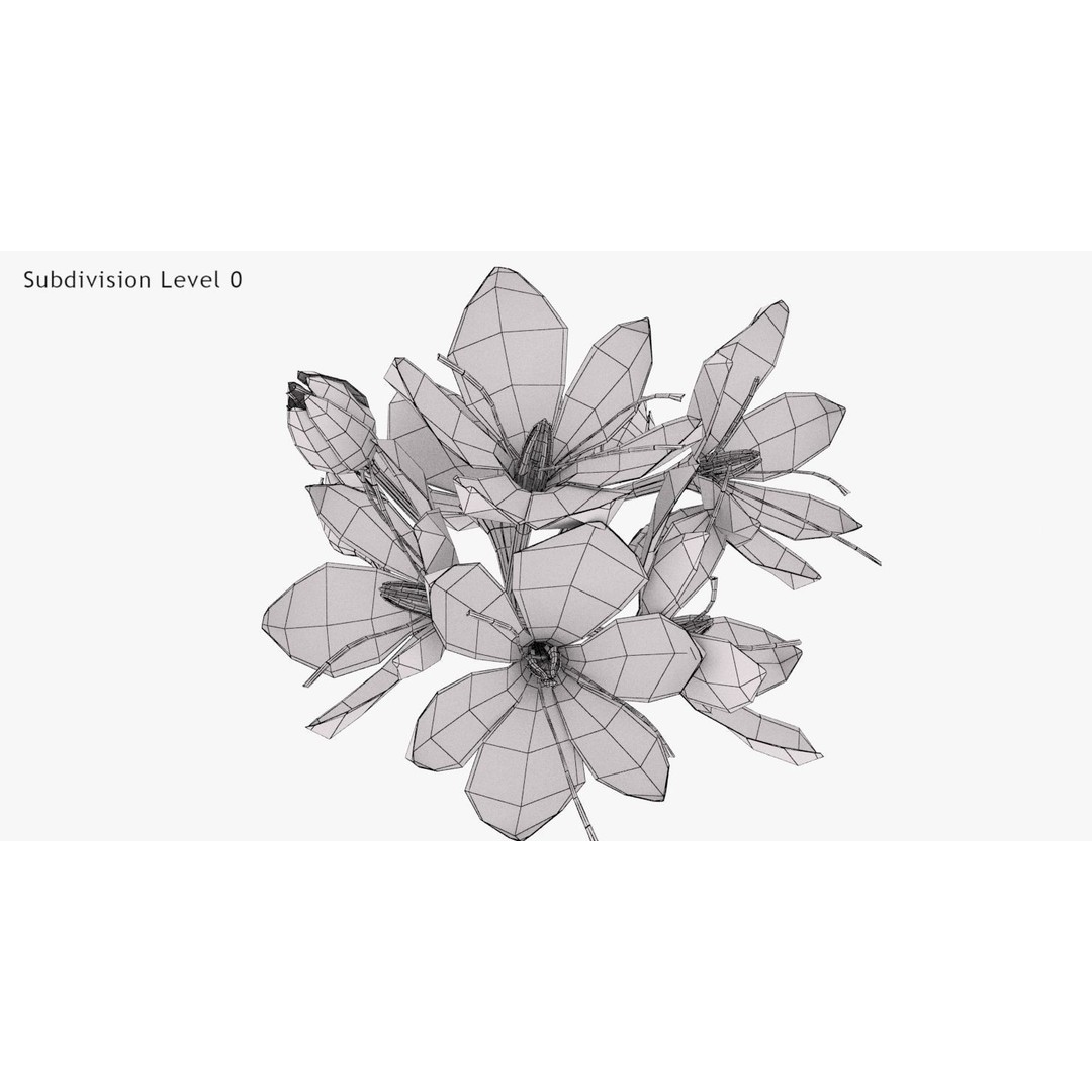 Crocus Blossom 3D Model – Low Poly Plant Asset, PBR Textures - View 18