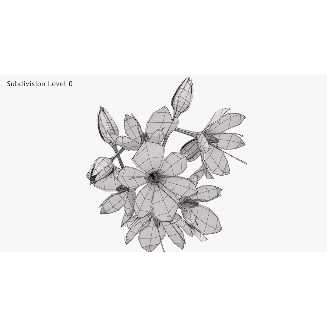Crocus Blossom 3D Model – Low Poly Plant Asset, PBR Textures - View 20