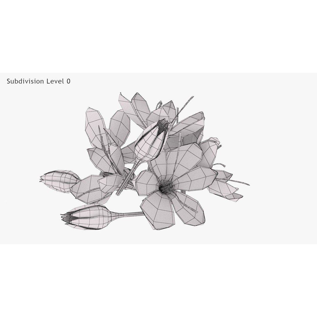 Crocus Blossom 3D Model – Low Poly Plant Asset, PBR Textures - View 21