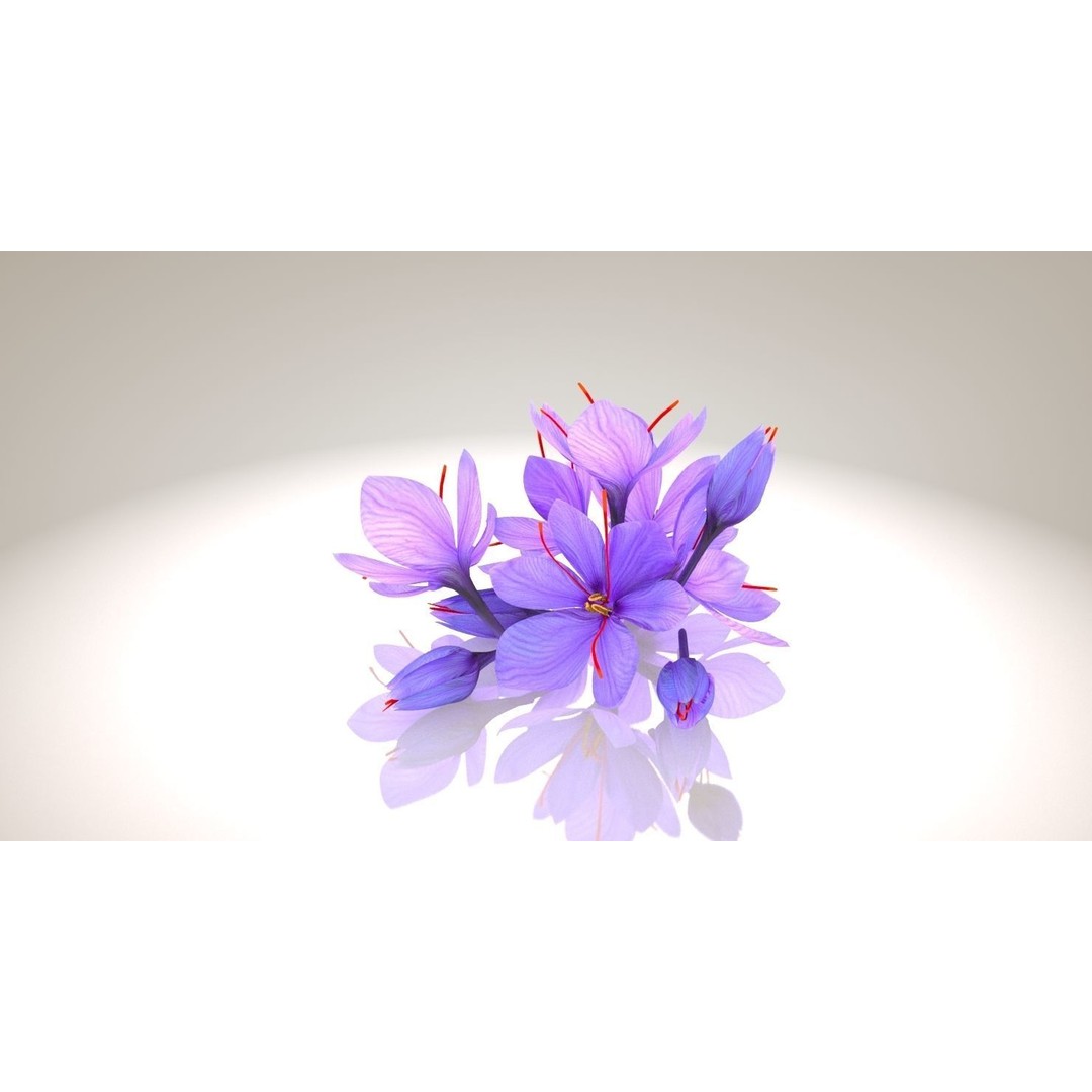 Crocus Blossom 3D Model – Low Poly Plant Asset, PBR Textures - View 3