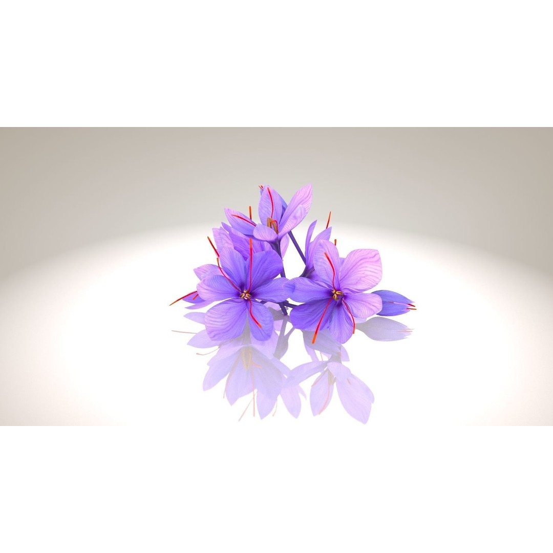 Crocus Blossom 3D Model – Low Poly Plant Asset, PBR Textures - View 4