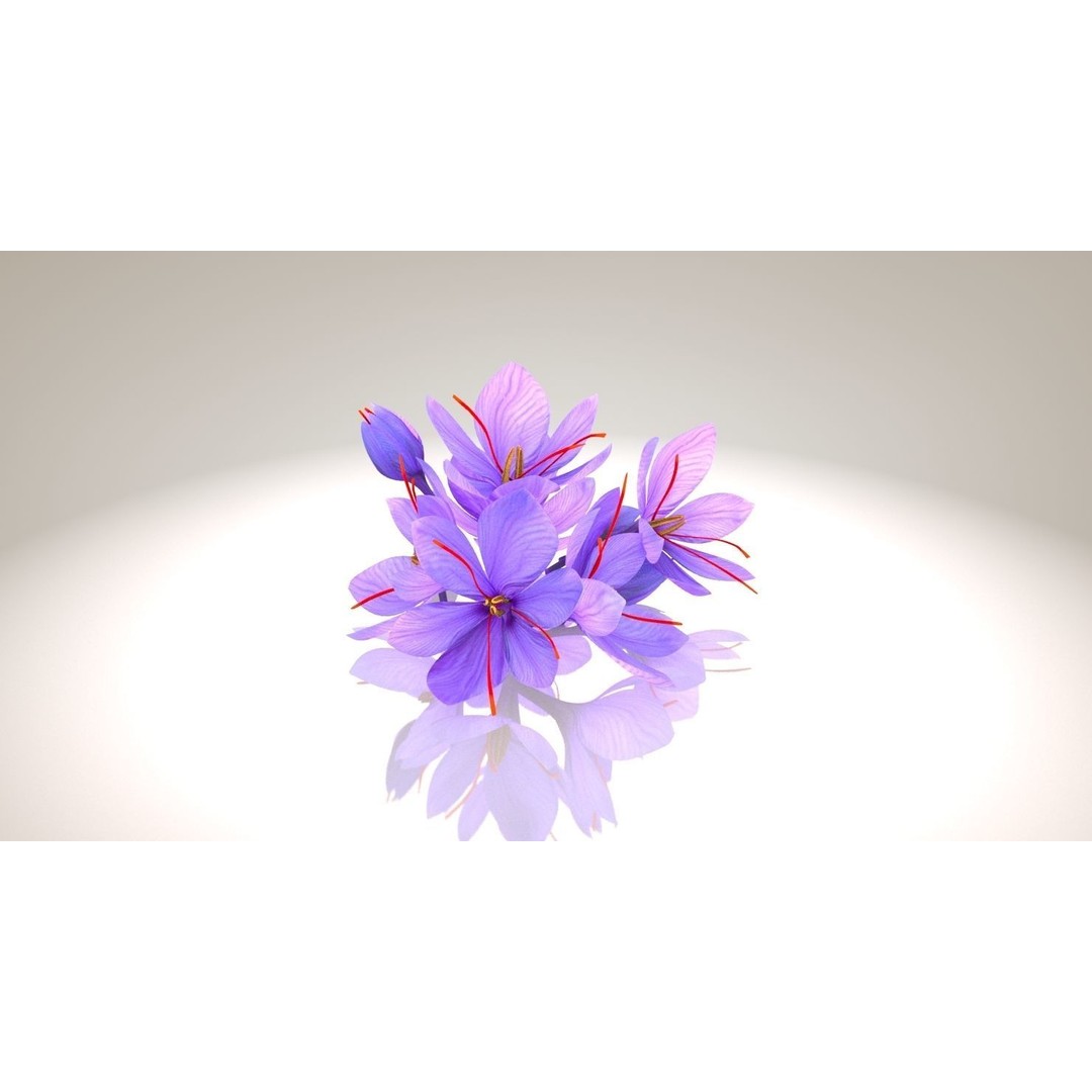 Crocus Blossom 3D Model – Low Poly Plant Asset, PBR Textures - View 5