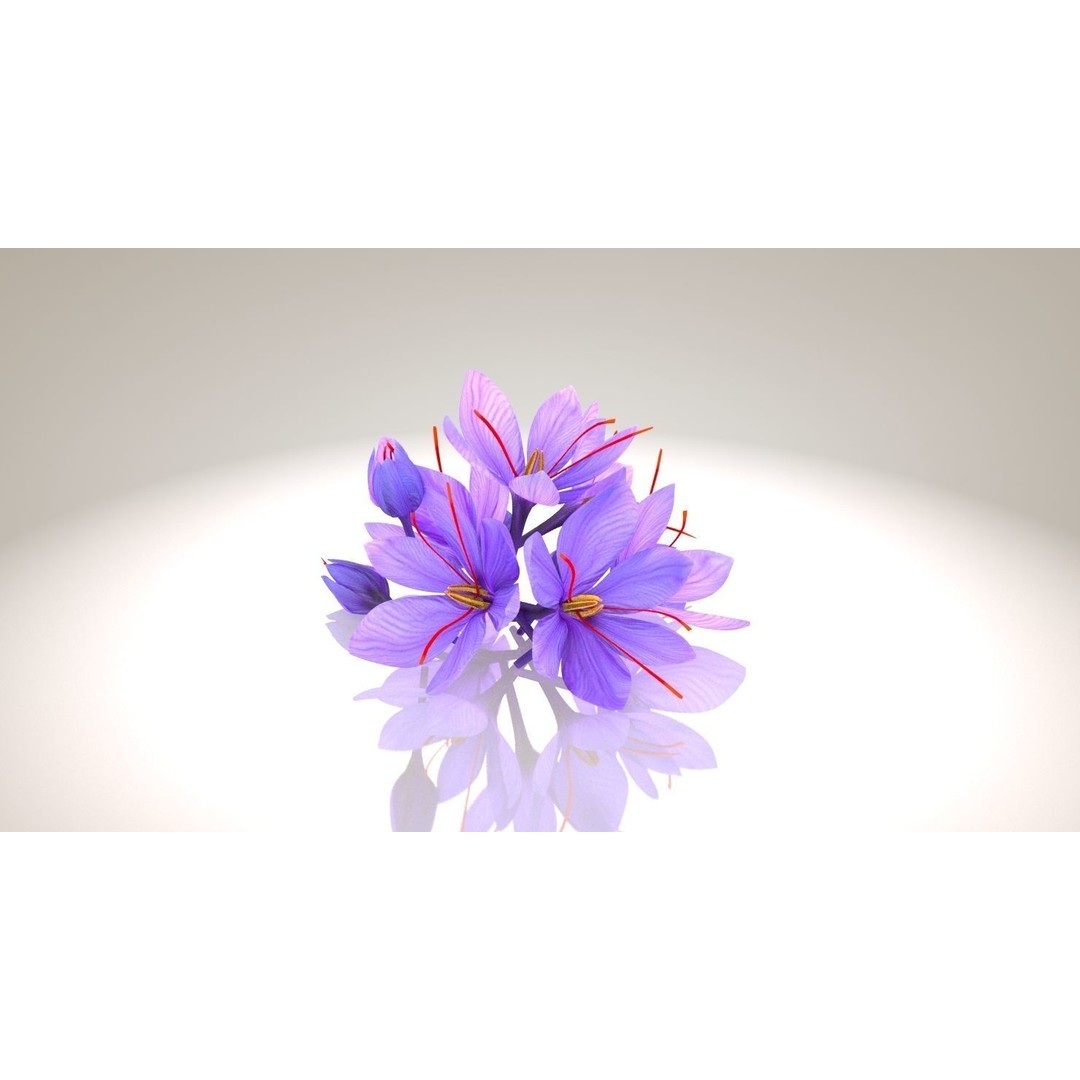 Crocus Blossom 3D Model – Low Poly Plant Asset, PBR Textures - View 6