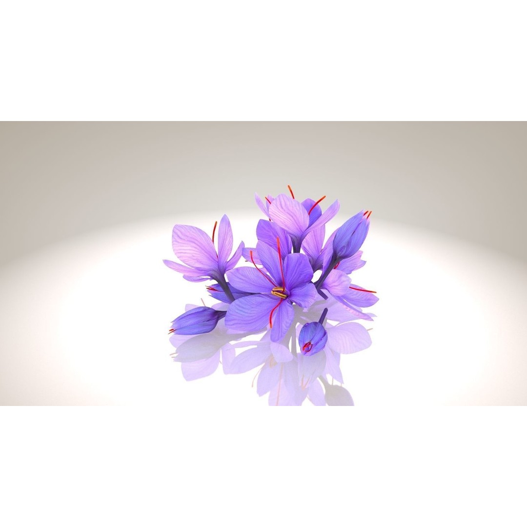 Crocus Blossom 3D Model – Low Poly Plant Asset, PBR Textures - View 7