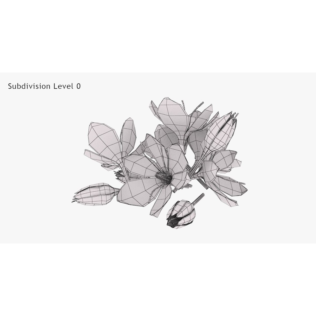 Crocus Blossom 3D Model – Low Poly Plant Asset, PBR Textures - View 8