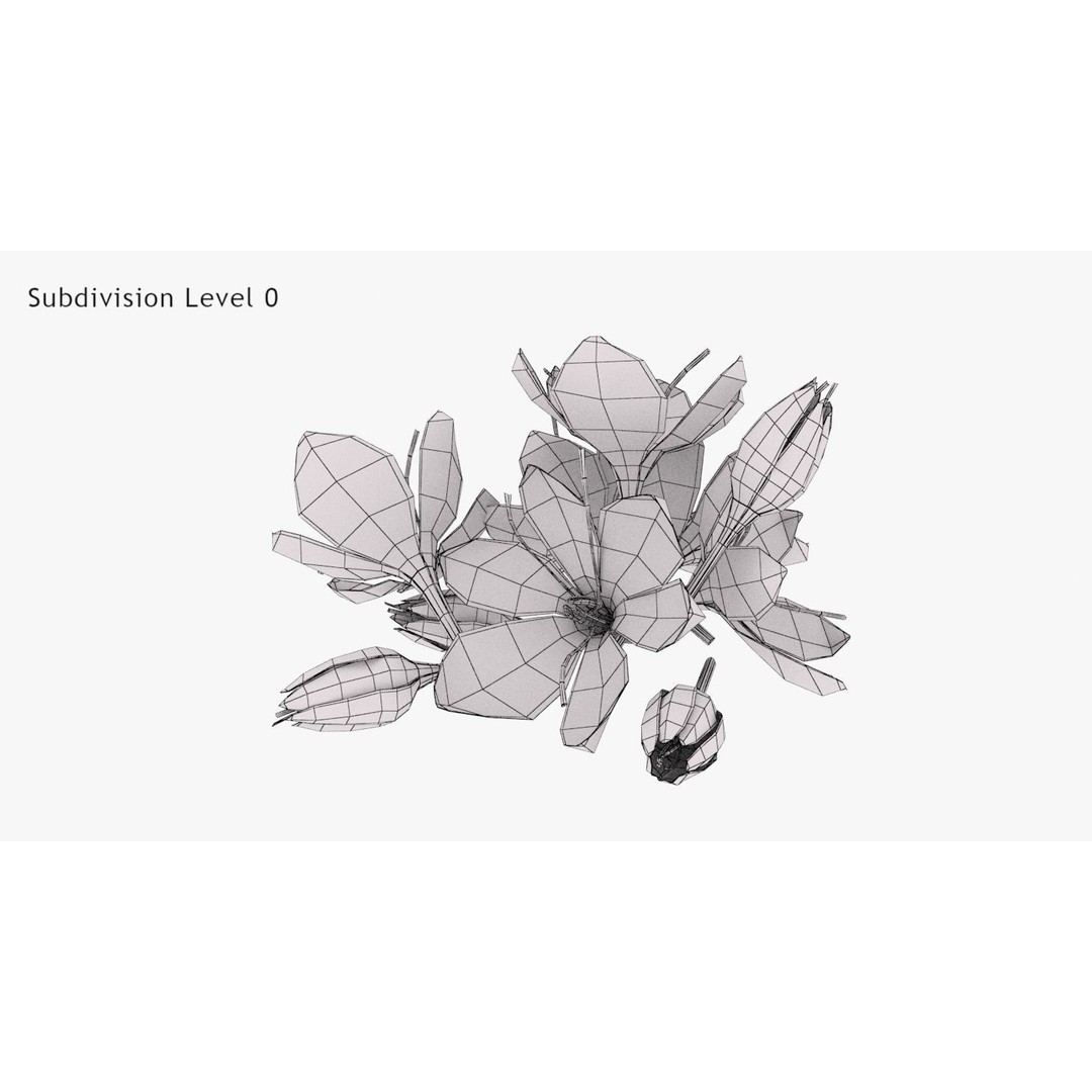 Crocus Blossom 3D Model – Low Poly Plant Asset, PBR Textures - View 9