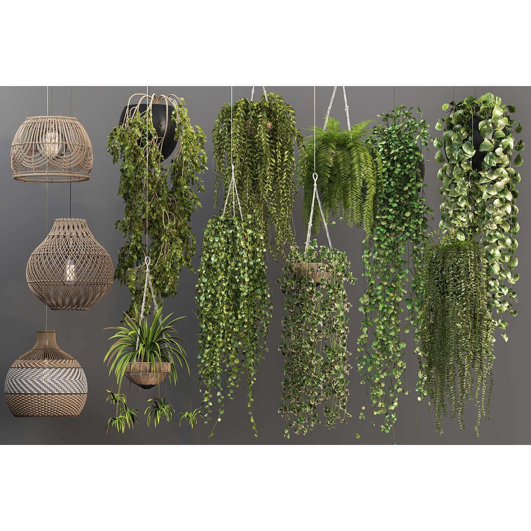 Plant Hangers 3D Model – Wicker Pendant Style, FBX & OBJ Formats - View 3