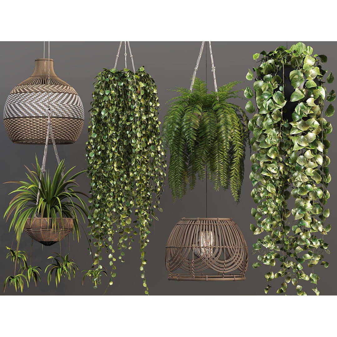 Plant Hangers 3D Model – Wicker Pendant Style, FBX & OBJ Formats - View 5