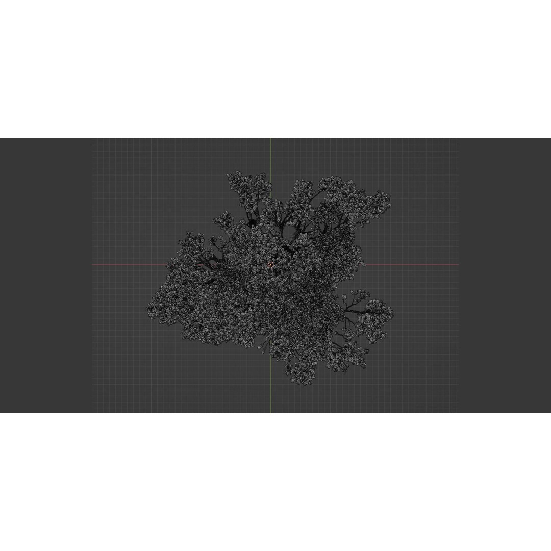 Tamarindus Tree 3D Model – PBR Game Asset, Blender, FBX, OBJ