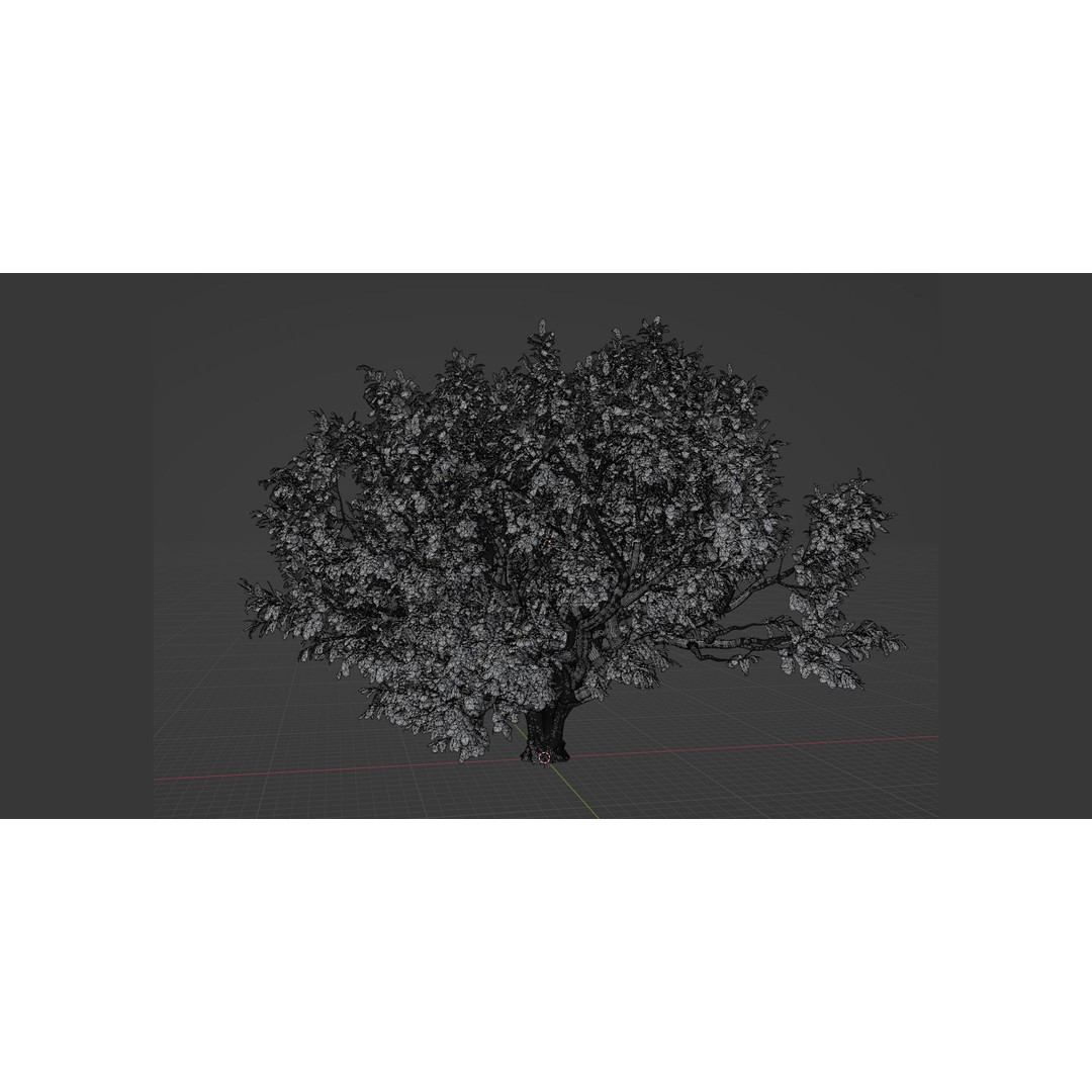 Tamarindus Tree 3D Model – PBR Game Asset, Blender, FBX, OBJ - View 6
