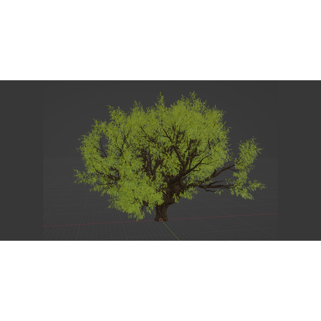 Tamarindus Tree 3D Model – PBR Game Asset, Blender, FBX, OBJ - View 7