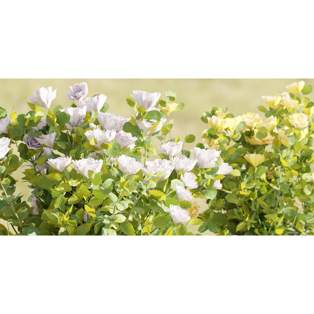 Rose Flowering Bushes 3D Model – High Poly Blender Asset, PBR Textures - View 3