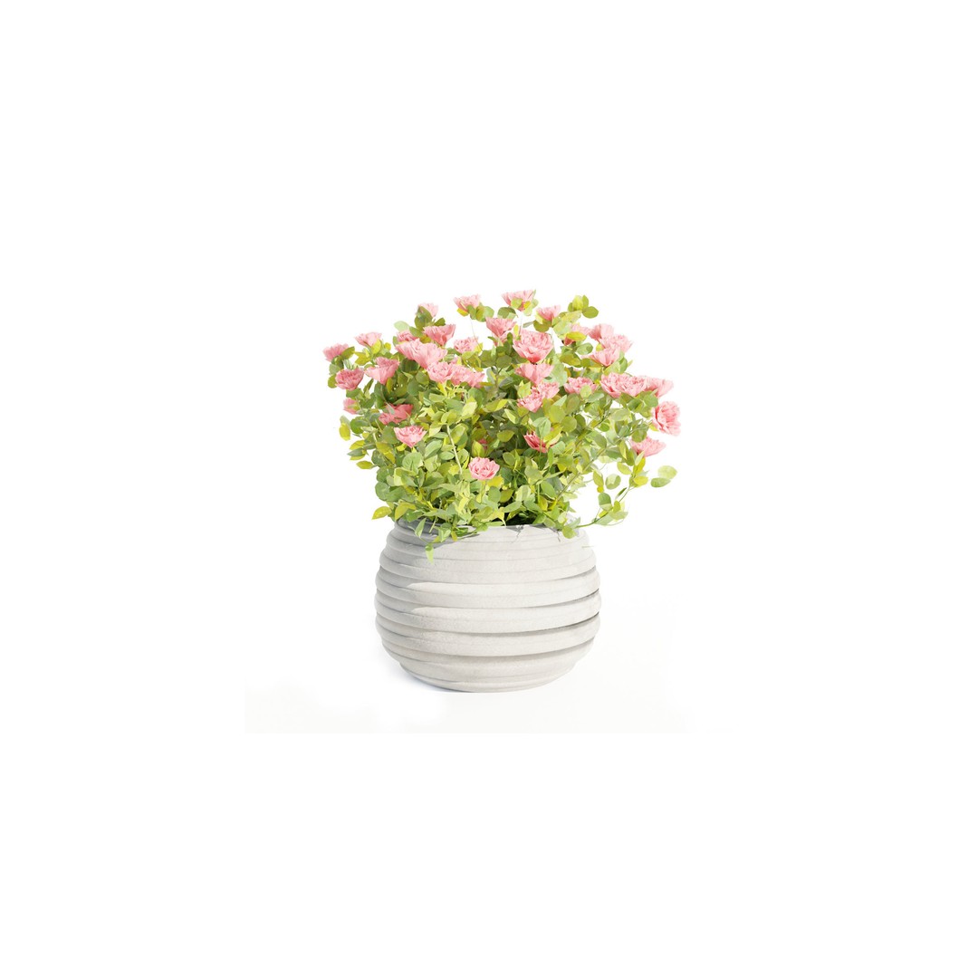 Rose Flowering Bushes 3D Model – High Poly Blender Asset, PBR Textures - View 8