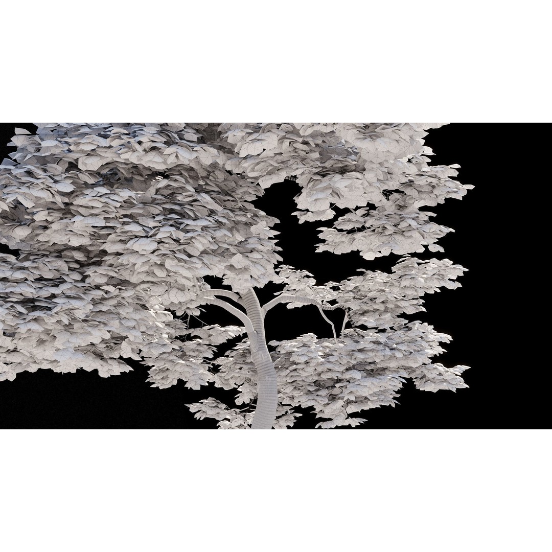 Japanese Maple Dissectum 3D Model – Animated PBR Asset, FBX
