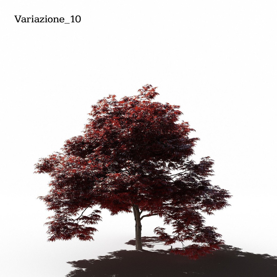 Japanese Maple Dissectum 3D Model – Animated PBR Asset, FBX - View 12