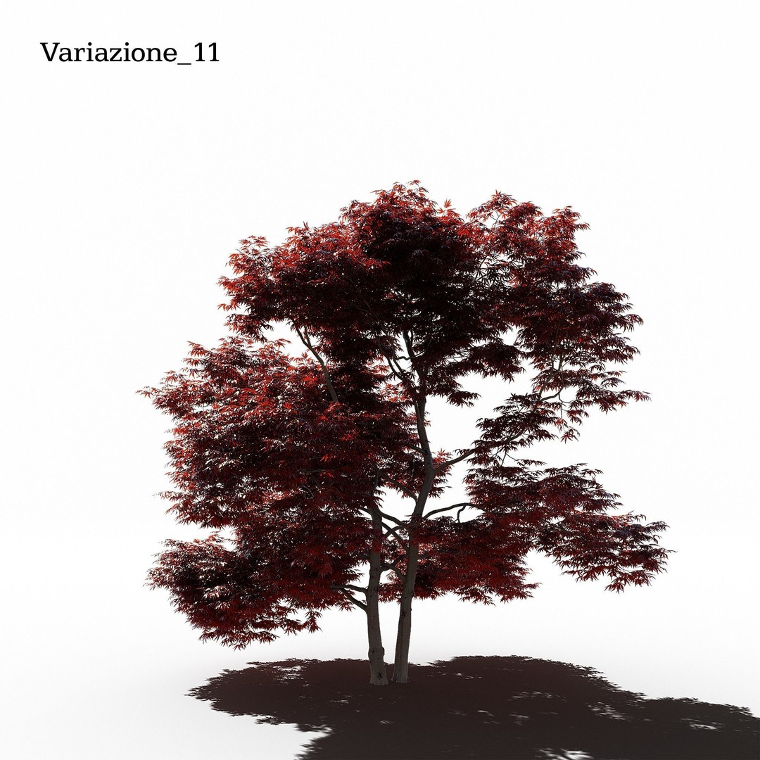 Japanese Maple Dissectum 3D Model – Animated PBR Asset, FBX - View 13