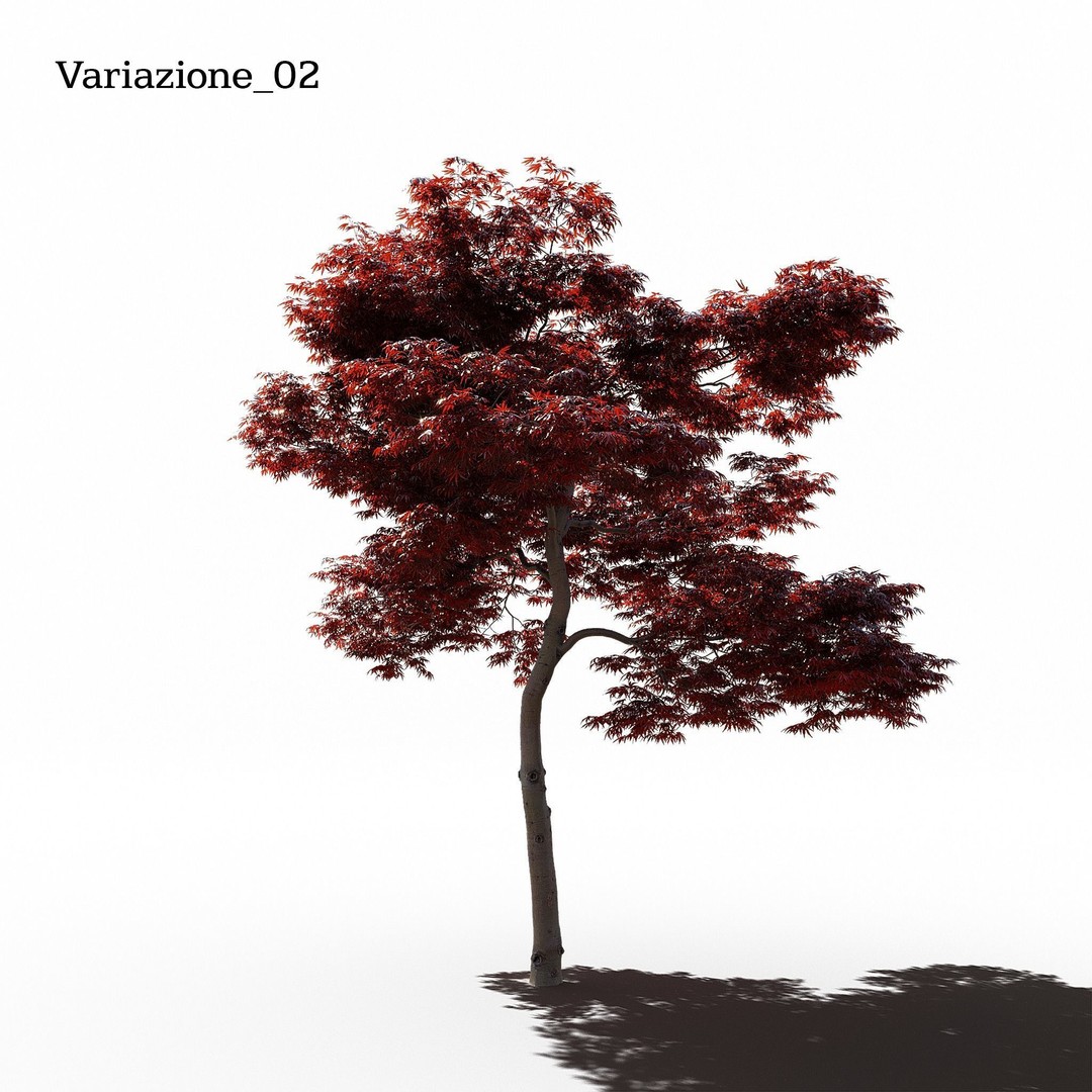 Japanese Maple Dissectum 3D Model – Animated PBR Asset, FBX - View 4