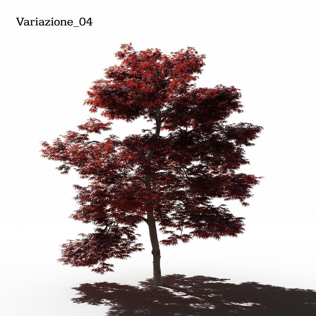 Japanese Maple Dissectum 3D Model – Animated PBR Asset, FBX - View 6