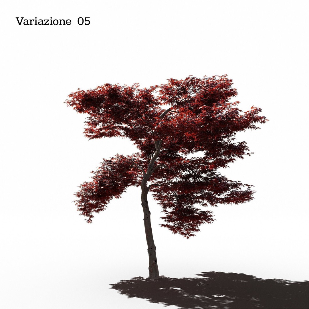 Japanese Maple Dissectum 3D Model – Animated PBR Asset, FBX - View 7