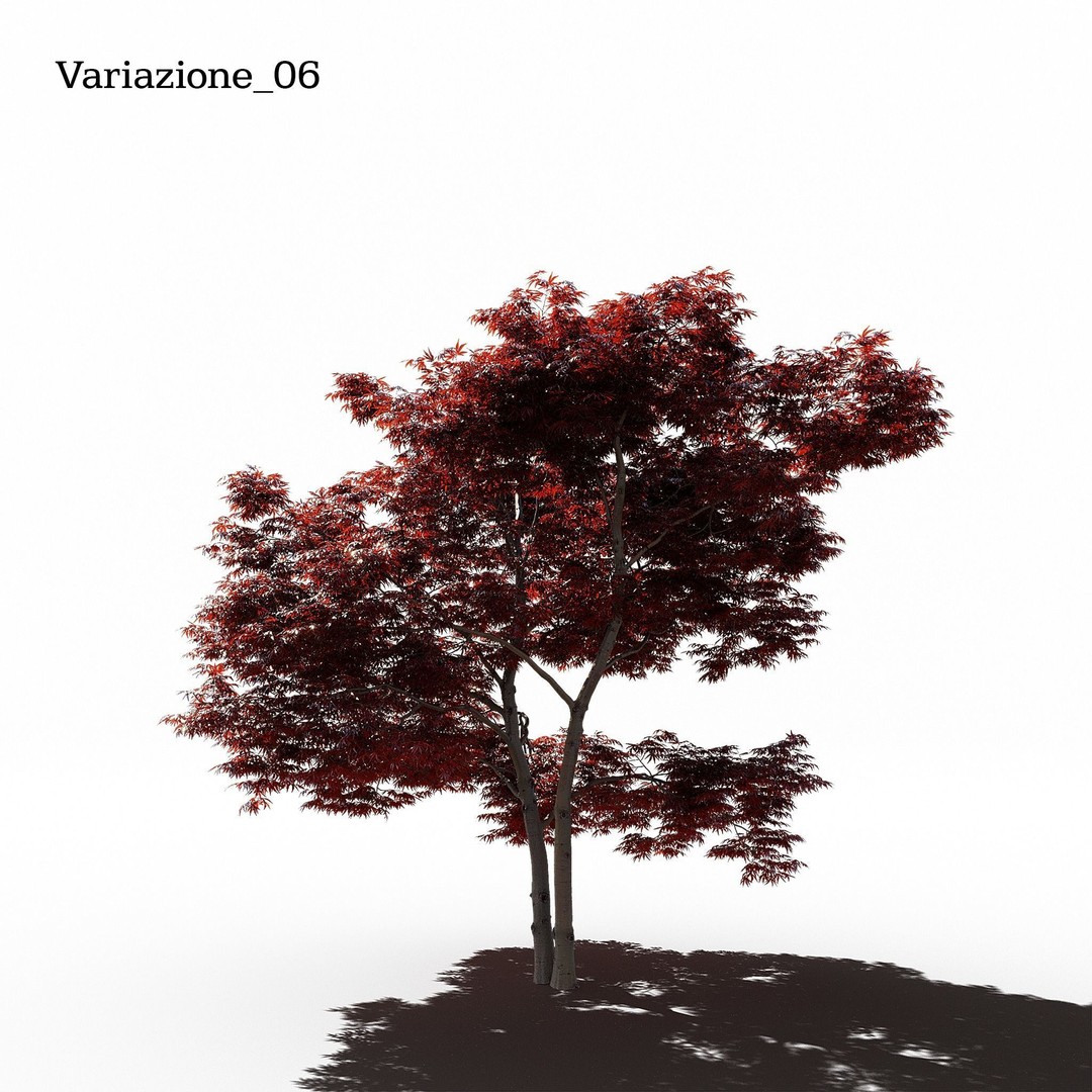 Japanese Maple Dissectum 3D Model – Animated PBR Asset, FBX - View 8