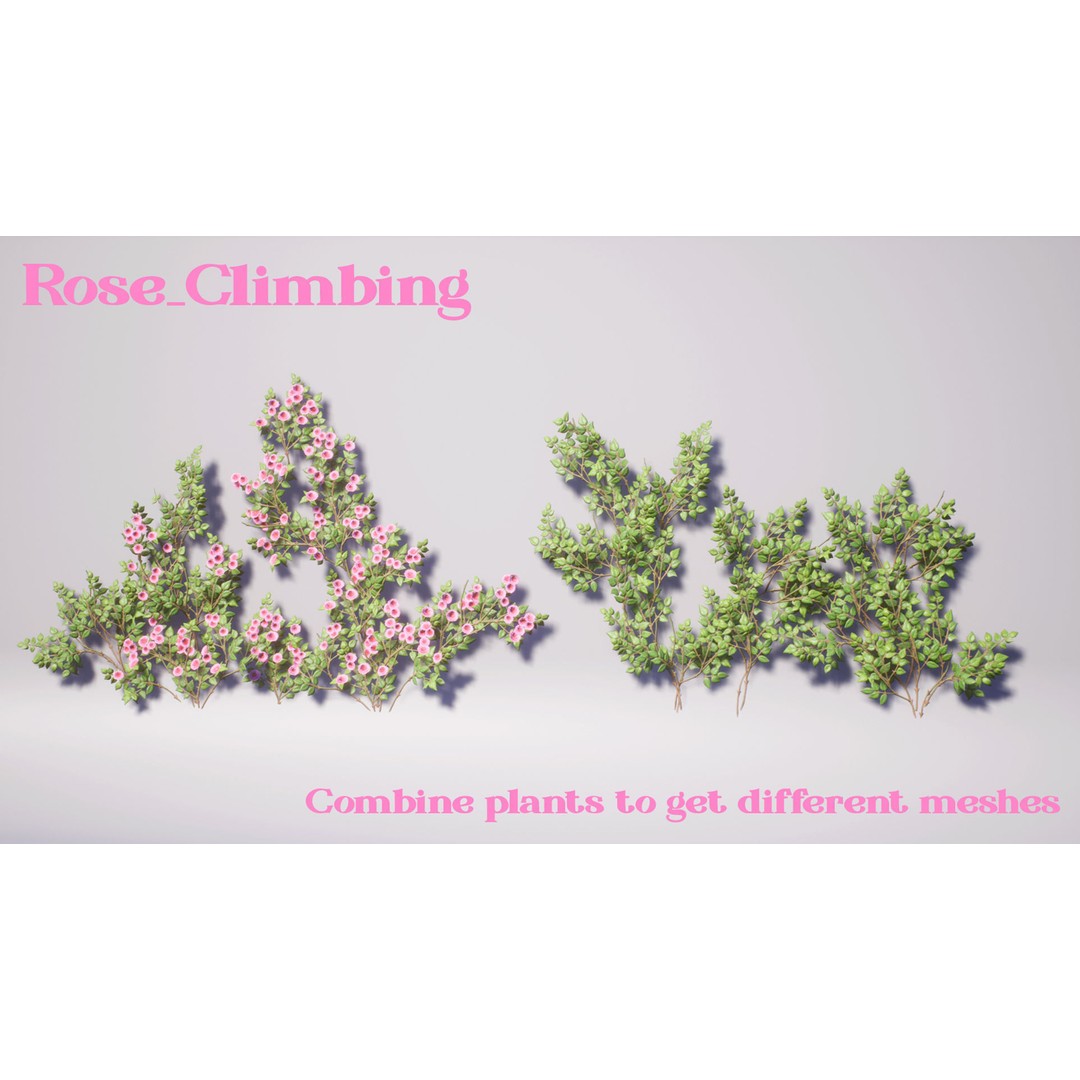 Garden Flowers 3D Model – Low Poly Game Ready Asset, FBX & Blender - View 7