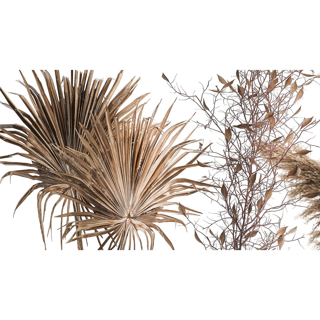 Bouquets of Dried Flowers 3D Model – Modern Glass Vases, FBX - View 5
