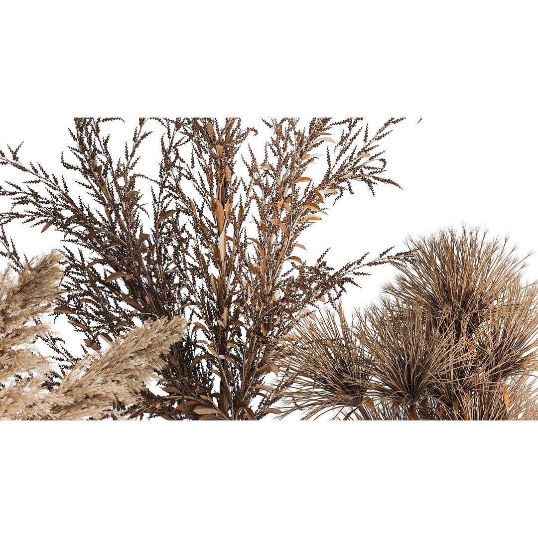 Bouquets of Dried Flowers 3D Model – Modern Glass Vases, FBX - View 6