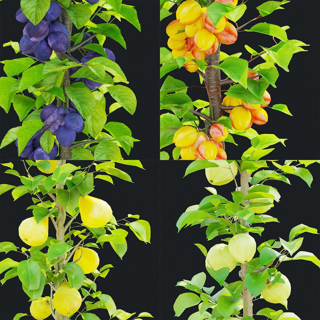 Columnar Fruit Trees 3D Model – High Poly PBR Game Asset, FBX, OBJ - View 3