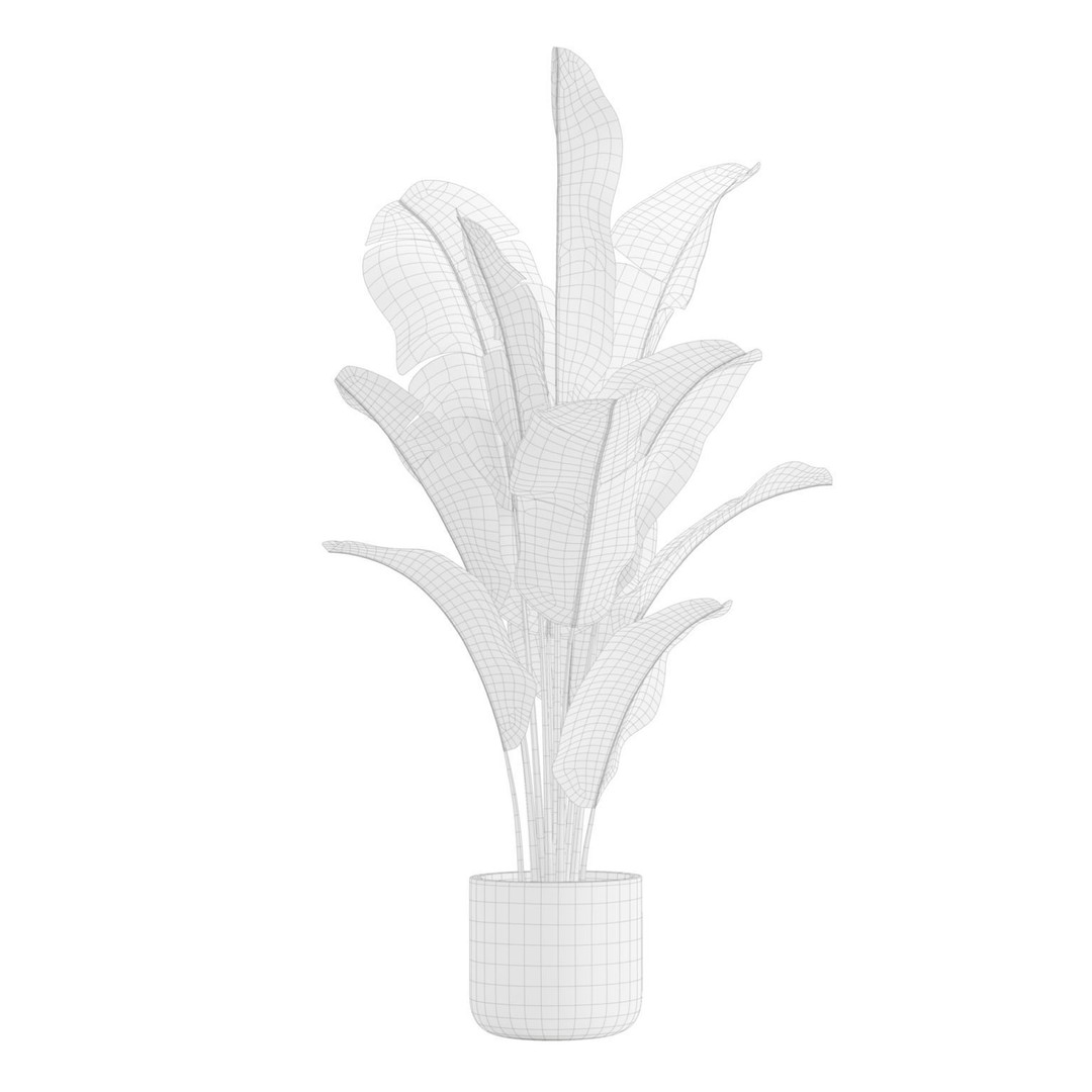 Indoor Plants 3D Model – Exotic Low Poly Set for Interior Renders