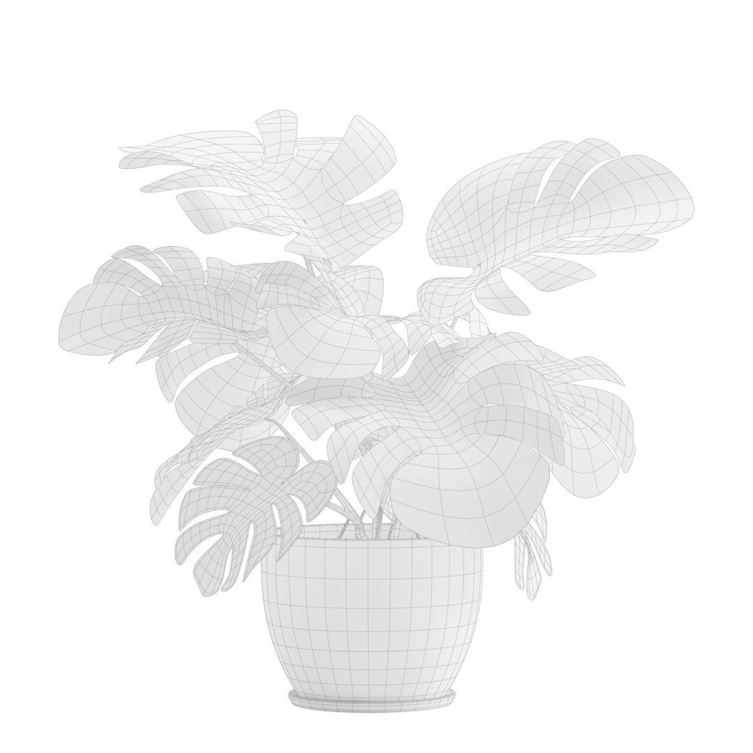 Indoor Plants 3D Model – Exotic Low Poly Set for Interior Renders - View 10