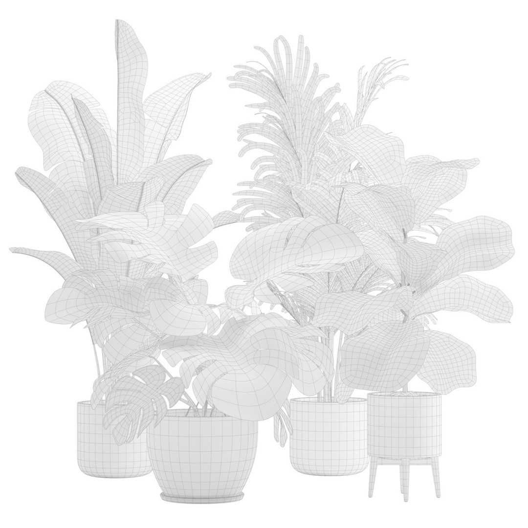 Indoor Plants 3D Model – Exotic Low Poly Set for Interior Renders - View 4