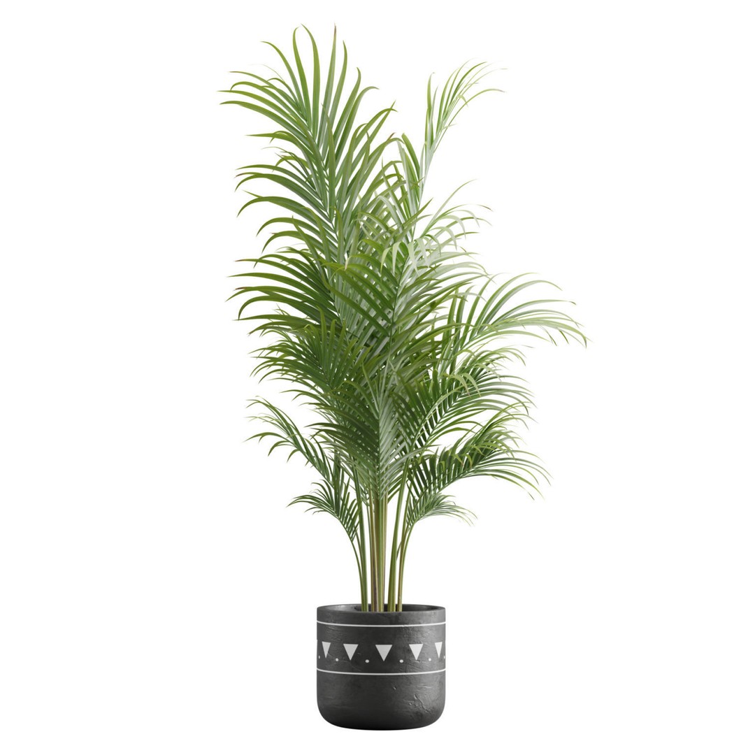 Indoor Plants 3D Model – Exotic Low Poly Set for Interior Renders - View 5