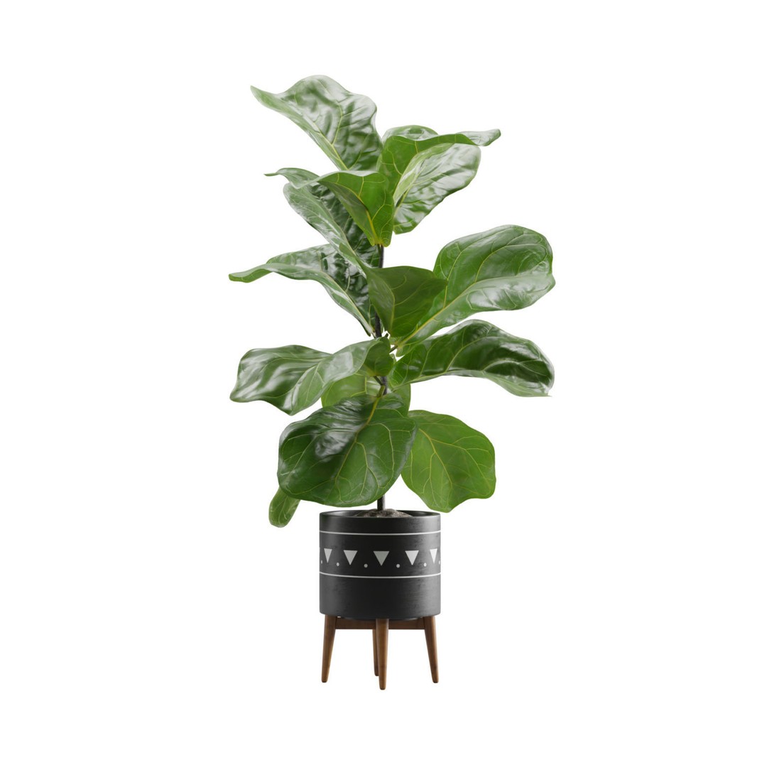 Indoor Plants 3D Model – Exotic Low Poly Set for Interior Renders - View 7